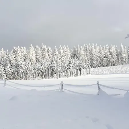 Merle In Winterberg-altastenberg アパート *