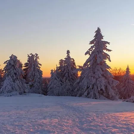 Merle In Winterberg-altastenberg アパート