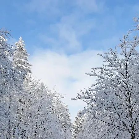 Merle In Winterberg-altastenberg *