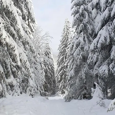 Merle In Winterberg-altastenberg アパート