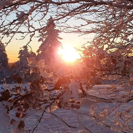 アパート Merle In Winterberg-altastenberg ヴィンターベルク