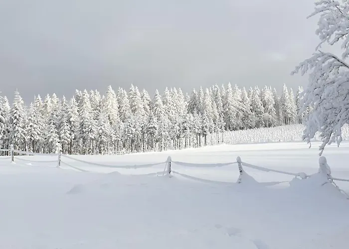 Merle In Winterberg-altastenberg Daire *