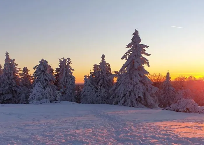 Merle In Winterberg-altastenberg Daire