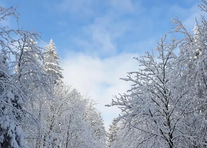 Merle In Winterberg-altastenberg *