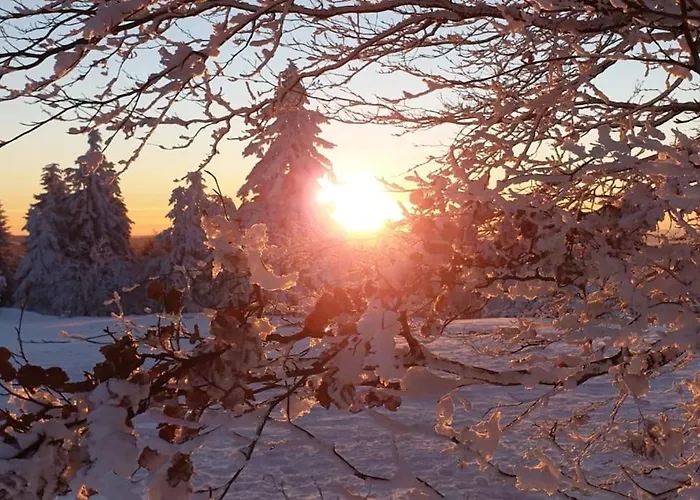 Daire Merle In Winterberg-altastenberg Winterberg